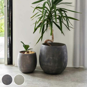 v^[ Obe ΒFRPv^[ 30cm 42cm hbv^ 召2Zbg i v^[Jo[ Eh Aؔ  ꌊ O O ƒ؉ 񂹐A |bg Jo[ A  ی^ ~