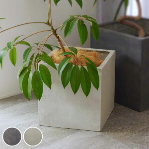 v^[ Obe ΒFRPv^[ 40cm p^ i v^[Jo[ XNGA Aؔ  ꌊ O O ƒ؉ 񂹐A  |bg Jo[ A  ی^ ~^ ^v^