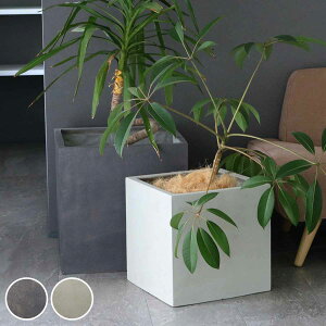 v^[ Obe ΒFRPv^[ 40cm 50cm p^ 召2Zbg i v^[Jo[ XNGA Aؔ  ꌊ O O ƒ؉ 񂹐A |bg Jo[ A  ی^ ~^ 