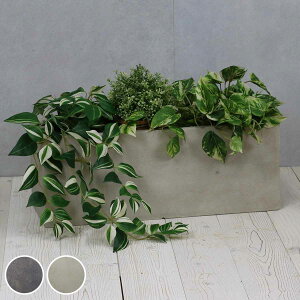 v^[ Obe ΒFRPv^[ 60cm p i v^[Jo[ XNGA Aؔ  ꌊ O O ƒ؉ 񂹐A  |bg Jo[ A  ی^ ~^ ^v^