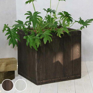 v^[ t@[o[ ؒFRPv^[ 40cm p^ i v^[Jo[ Eh Aؔ  ꌊ O O ƒ؉ 񂹐A  |bg Jo[ A  ` ^v^[