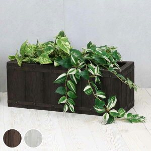 v^[ t@[o[ ؒFRPv^[ 60cm p i v^[Jo[ Eh Aؔ  ꌊ O O ƒ؉ 񂹐A  |bg Jo[ A  p^ ` ^v