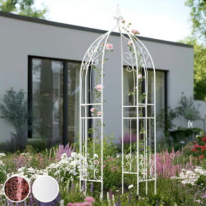 A[` ACAn[tA[`IxXNLbg i K[ftFX n[tA[` tFX ACA  | GNXeA G Ԓd  x_ oRj[ K[fjO ACAK[f