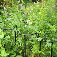 アイアン製植物サポーター幅18 4本セット （ 支柱 フラワースタンド 花壇 花 植物 支える サポーター 囲…
