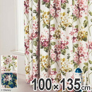 J[e ՌJ[e X~mG AX AWTC 100×135cm AC{[ i Ռ fBYj[ h[vJ[e Disney ӂ̍̃AX LN^[  Ռ2 􂦂 `L ԕ t