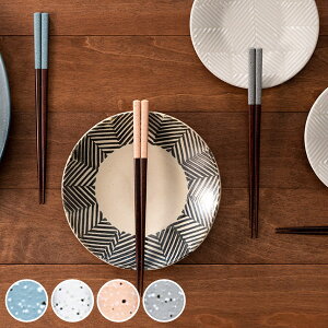  22.5cm amaoto ؐ VR { i H@Ή  ͂ j   aH jp H@ ͂ nV Jg[  킢 j y39Vbvz