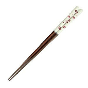  ԕ 21cm i H@Ή { VR  Jg[  Vv _ a_ jy39Vbvz