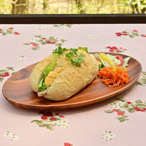 v[g AJVA I[o 25cm i AJVAv[g ؐ H ȉ~^  k k ؐH jy39Vbvz