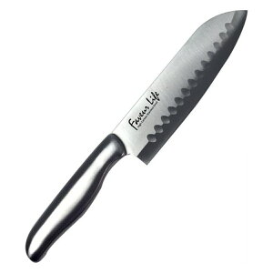 O 16cm t@u[Ct Ȃ XeX i  \   Lb`iCt    ق傤 jy39Vbvz