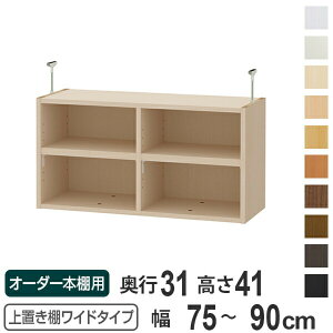 uI 41cm Ch^Cvp 75-90cm s31cm Ή i V䍂226-235cm I[_[{I [I Type41 ubNVFt rO[ [ q I[_[Ch Y t[bN 