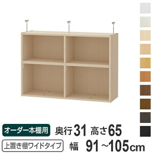 uI 65cm Ch^Cvp 91-105cm s31cm Ή i V䍂250-259cm I[_[{I [I Type65 ubNVFt rO[ [ q I[_[Ch Y t[bN 