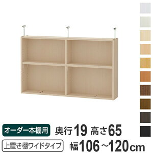 uI 65cm Ch^Cvp 106-120cm s19cm Ή i V䍂250-259cm I[_[{I [I Type65 ubNVFt rO[ [ q I[_[Ch Y t[bN