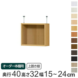専用 上置き棚 標準棚板 type32 オーダー本棚 奥行40cm 幅15-24cm用 ( 送料無料 オーダーメイド 天井つっぱり 本棚 収納ラック セミオーダー ) 【39ショップ】