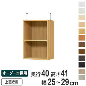 専用 上置き棚 標準棚板 type41 オーダー本棚 奥行40cm 幅25-29cm用 ( 送料無料 オーダーメイド 天井つっぱり 本棚 収納ラック セミオーダー ) 【39ショップ】