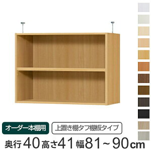 専用 上置き棚 タフ棚板 type41 オーダー本棚 奥行40cm 幅81-90cm用 ( 送料無料 オーダーメイド 天井つっぱり 本棚 多目的ラック セミオーダー 突っ張り棚 ) 【39ショップ】