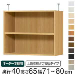 専用 上置き棚 タフ棚板 type65 オーダー本棚 奥行40cm 幅71-80cm用 ( 送料無料 オーダーメイド 天井つっぱり 本棚 多目的ラック セミオーダー 突っ張り棚 ) 【39ショップ】