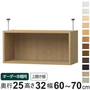 p uI type32 I[_[{I s25cm 60-70cmp i pp[c ǉIvV u [Ƌ IvV ǉ I[_[ bN p[c j y39Vbvz