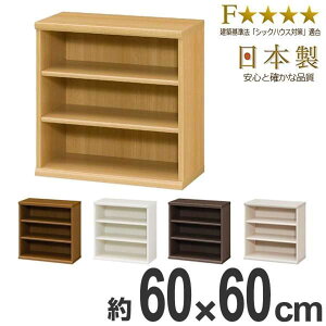 本棚 ブックシェルフ エースラック カラーラック 約幅60cm 高さ60cm ( オープンラック フリーラック ラック 収納棚 棚 カラーボックス 木製 書棚 大容量 シェルフ シンプル 収納ラック 多目的