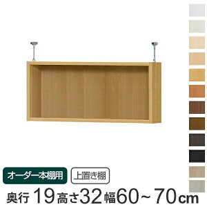 専用 上置き棚 標準棚板 type32 オーダー本棚 奥行19cm 幅60-70cm用 ( 送料無料 オーダーメイド 天井つっぱり 本棚 収納棚 セミオーダー ) 【39ショップ】