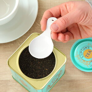 eB[LfB[Xv[ u blanc XeX Xv[ z[[ { i eB[W[  mH Jg[ H  t  W[Xv[   j y39