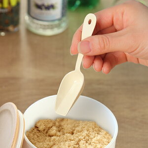 vʃXv[ 11cm m Noix ~jXRbv XeX z[[ { i  XRbv mH Jg[ AC{[  XpCX Xv[ XRbv^    j y3