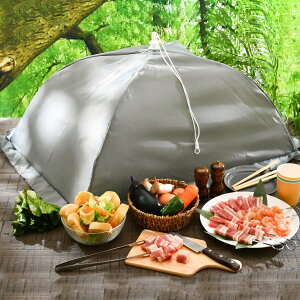 HJo[ Lvpt[hJo[ ܕt 50×75cm i  Lb`p\ HP Hᒠ H앢 􂦂HJo[ y ق悯 悯  悯 Hiۑ H Jo[ ^