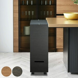 ゴミ箱 60L 2段 バスクグランデペール ( ごみ箱 木目調 60リットル 袋 見えない くず入れ 角型 リビング キッチン 隙間 日本製 ダストボックス 屑入れ シンプル おしゃれ ウッドテイスト 木目