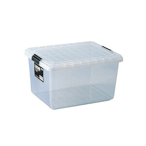 衣装ケース クローゼット用 ロックウェル(ハーフ) 2個セット ( 収納ボックス フタ付き 幅36×奥行45×高さ24.5cm ロックウェル ハーフ 衣類収納 押入れ収納 プラスチック 蓋付 積み重ね スタ