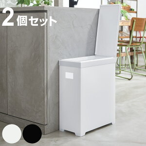 S~ 35L F2Zbg Vv_Xg{bNX XI[v i ݔ 35bg X 50cm 2 Zbg  Lb` ܂肽ݎ ӂt 䏊 RpNg o [ zC