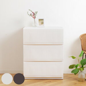 `FXg vtBbNX X^CP[Xg [^ 3i 85cm i [P[X ^X o LX^[ e 65 s45 vX`bN Vn { ߑP[X [{bNX [ P