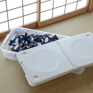 収納ボックス 45S ロング とっても便利箱 フタ付き ( 幅45×奥行98×高さ17cm ベッド下収納 ベッド下 収納 収納ケース 隙間収納 衣装ケース 薄型 ケース ボックス 便利箱 大容量 プラスチック 日
