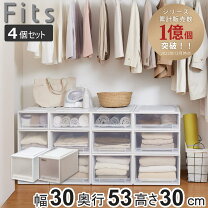 楽天市場】天馬 フィッツケース モノ クローゼット l-30の通販