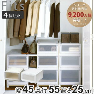 収納ケース 同色4個セット 幅45×奥行55×高さ25cm Fits フィッツケース アドバンス 4525 クローゼット ( 収納 収納ボックス 引き出し 日本製 プラスチック 衣装ケース 天馬 押し入れ 積み重ね 衣