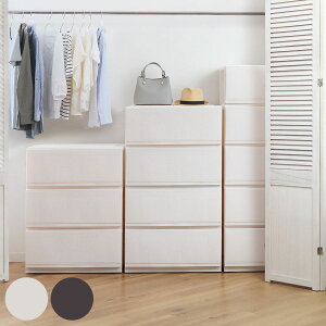 `FXg vtBbNX X^CP[Xg 65cm i [P[X ^X o LX^[ e 65 s45 vX`bN Vn { ߑP[X [{bNX [ P[X N[