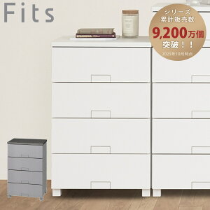 `FXg tBbc`FXg ttbg 5504 4i 55×s41×85cm i ^X o [ ߗގ[ i vX`bN obN tBbc ߑP[X rO[ [P[X