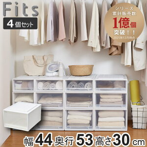 ���[�P�[�X Fits �t�B�b�c �t�B�b�c�P�[�X �N���[�[�b�g ���C�h L-53 4�Z�b�g �i �ߑ��P�[�X ���[ ��44 ���s53 ����30 �V�n ���{�� �P�[�X �����o�� ���[�{�b�N�X �v���X�`�b�N �ςݏd�� ������