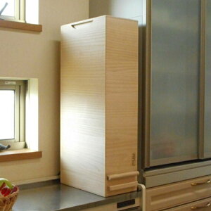 Ăт vʋ@\t LX^[t ː 30kg 1v i ğC ߂т CX{bNX CXXgbJ[  30kgp 30L  a ːĂт  [ ۑ XgbJ[ Lb` X