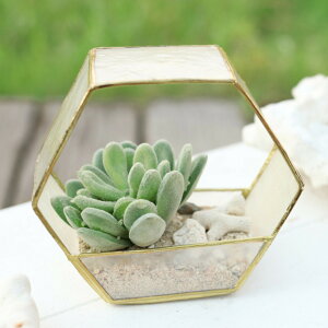 プランター カピススタンドプラントホルダー 六角 ( プラントポット 植物用ポット 植木鉢 花器 ポット 多肉植物 六角形 鉢 植物 花 観葉植物 園芸 インテリア 卓上 小物入れ 貝殻 飾り 砂 サ