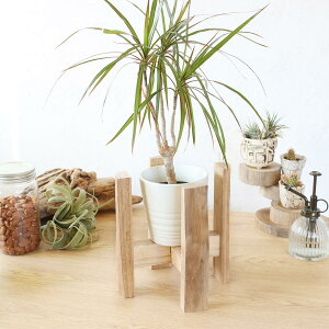 v^[X^h a18.5×21cm i t[X^h ԑ X^h  t[ X^h Xc[ ԑXc[ ؐ   AؔX^h  I \ u A ϗtA 