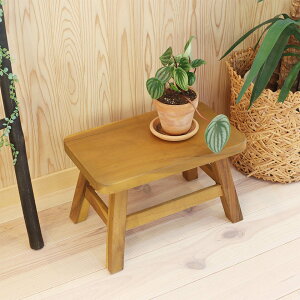 Xc[ ʍ25.5cm VR i EbhXc[ qǂ ֎q LbY ~j`FA ~jXc[ i ؐ lp `  fBXvC ω׏d 100kg j y39Vbvz