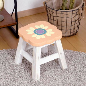 Xc[ ʍ25`26cm sNt[ VR i EbhXc[ qǂ ֎q LbY ~j`FA ~jXc[ i  t[`[t  fBXvC ω׏d 100kg ؐ j y39