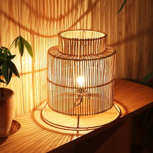 ^X^hv ^ LEDΉ tACg i ^  e[uCg 25cm XCb`t Ɩ Cg E12 LED Ɩ DULTON AWAv g CeA E12 dt 