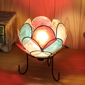 X^hCg S JsX[^Xv 20W i JsXVF Ɩ  Cg LED VF E12 Ɩ JXsL AWAv g CeA LEDΉ E12 dt  @ R