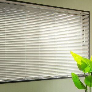 uCh 128×108cm A~ g[\[ i TOSO A~uCh uChJ[e J[e[ A~uCh J[e  ^ Vt ʕt o  ՔM Ռ ȃG