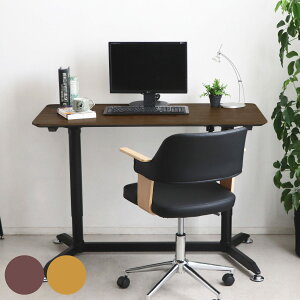 X^fBOfXN 120cm  fBAi LX^[ i ~ fXN   ㉺~ e[N p\R AWX^[ LX^[t ؖڒ jy39Vbvz