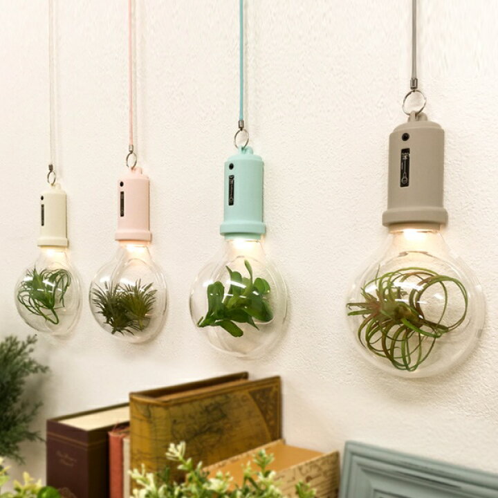 楽天市場 ウォールライト センサーライト ポケットライトバルブ That S Light 間接照明 壁 おしゃれ インテリア ライト Led Led 自動点灯 電池式 電池 壁掛け 室内 屋内 音感センサー グリーン テラリウム バルブ 電球 39ショップ インテリアパレット