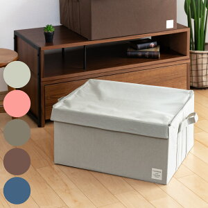 [{bNX XgAi` LL 53×s43×27cm Wt z ܂肽 i [P[X [ Ci[{bNX z t@ubN ߗގ[ RpNg t  ۊ 