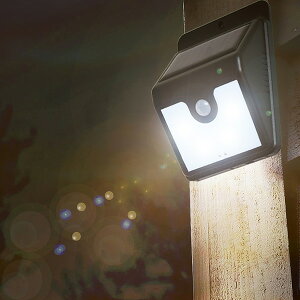 h O LED ZT[Cg hJ` [VZT[tƖ iCgX^[ i Ɩ Cg h \[[ hƃObY zsv drsv hJ^ IPX3 O ЊQ  K[W  Gg