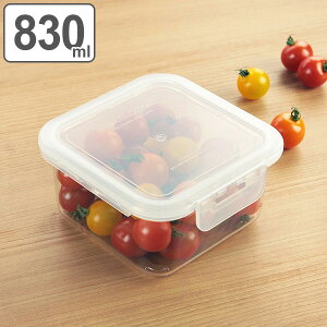 保存容器 片手でPON 830ml スクエア 密閉 ( 食洗機対応 電子レンジ対応 冷凍庫対応 正方形 角型 冷凍保存 電子 1点ロック プラスチック製容器 密閉容器 密閉保存容器 食品保存 フードストッカ