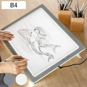 g[X B4 ^LED grA[ B4-500 i TREVIEWER { 7iK 3Nۏ y cu Cg{[h ACA_v^[ AN g[X  3iKX CXg Aj  }K | g